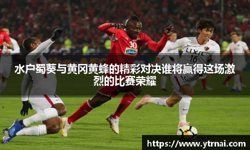 水户蜀葵与黄冈黄蜂的精彩对决谁将赢得这场激烈的比赛荣耀